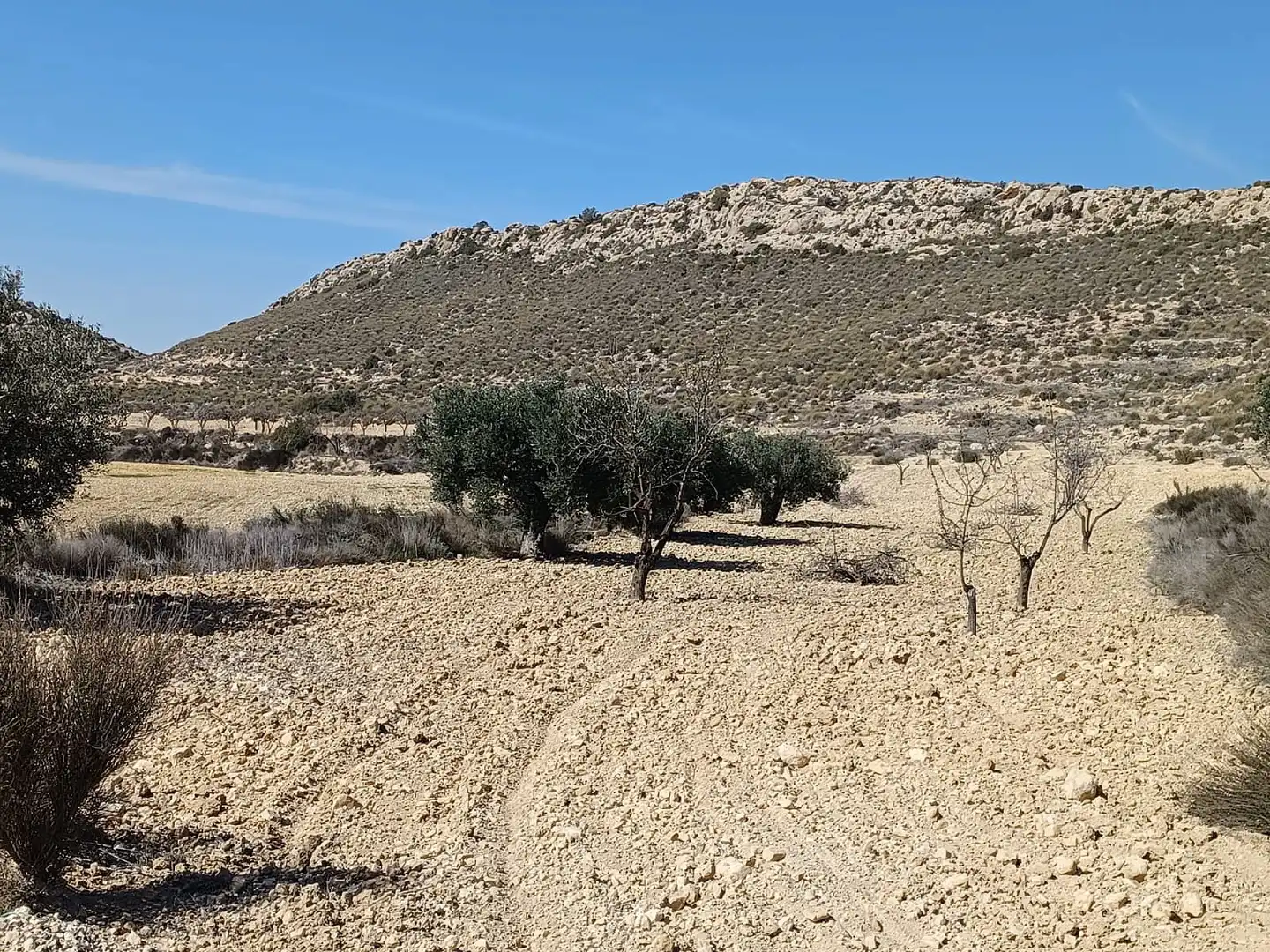Rustikales Grundstück zum Verkauf in El Pinós / Pinoso, imagen 2