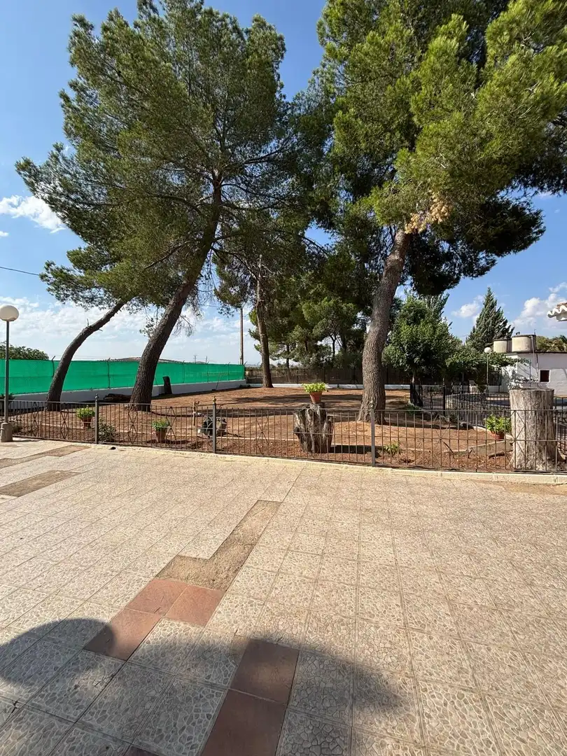 Chalet con piscina en venta en Valdepeñas, imagen 54