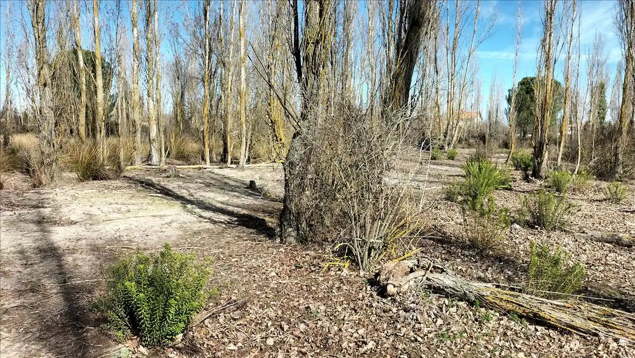 Residential land for sale in PALOMA, imagen 14