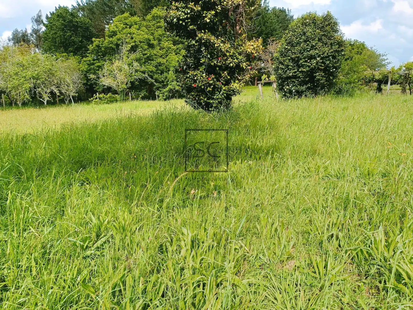 Houses for sale in Narón  with Private garden