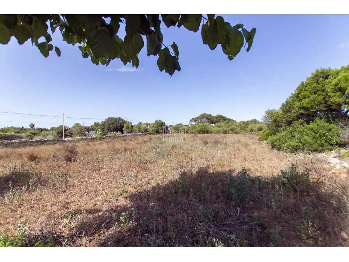 Houses for sale in Ferreries poble