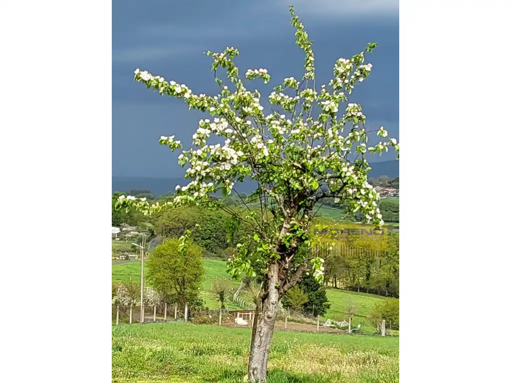 Garten von Haus oder Chalet zum Verkauf in Sarria