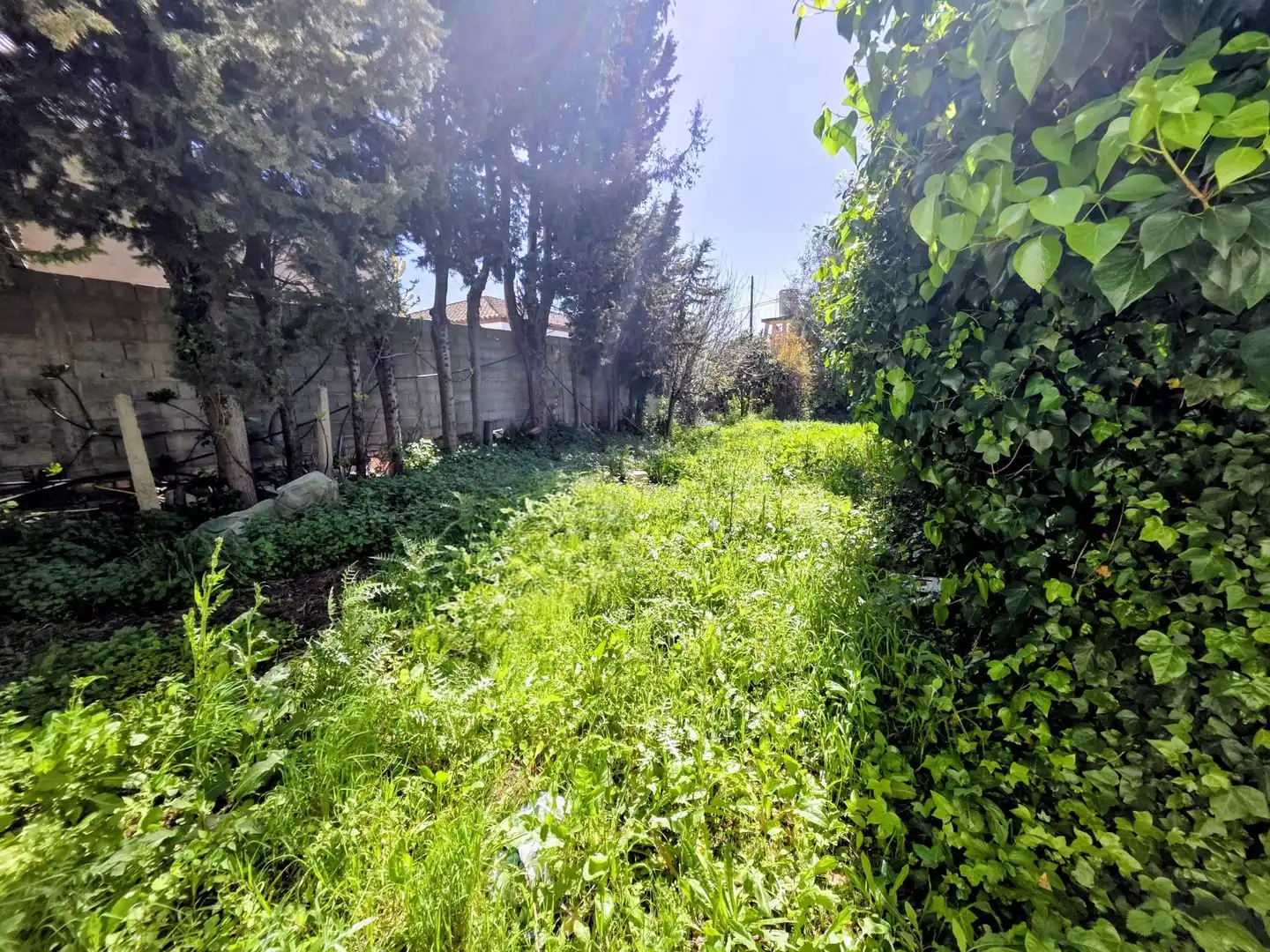 Finca rústica en venda a Conil