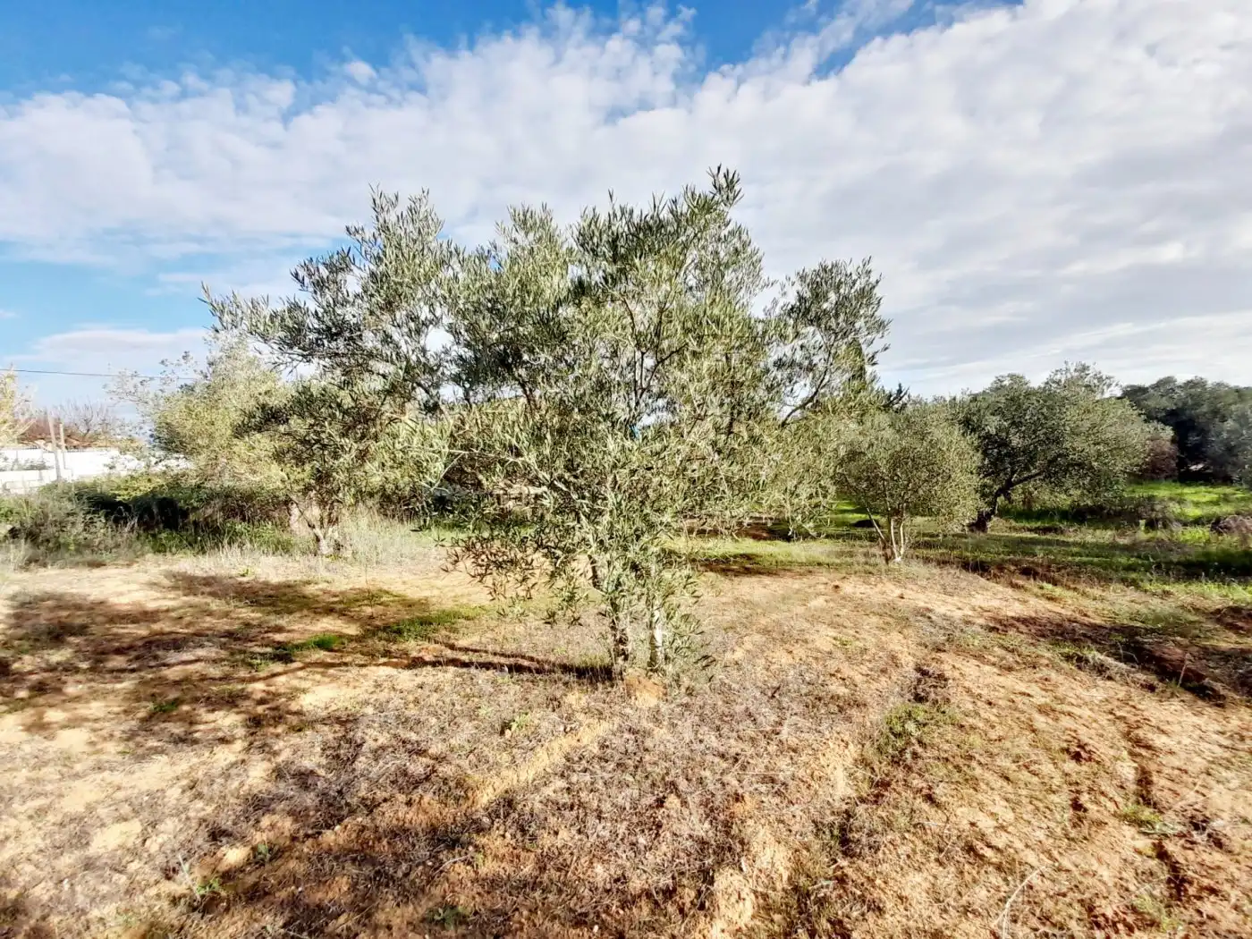 Terreni e lotti in vendita a El Retiro - Parque Atlántico - Ronda este