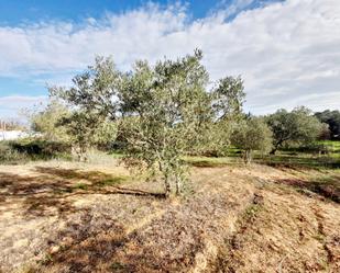 Land for sale in Jerez de la Frontera