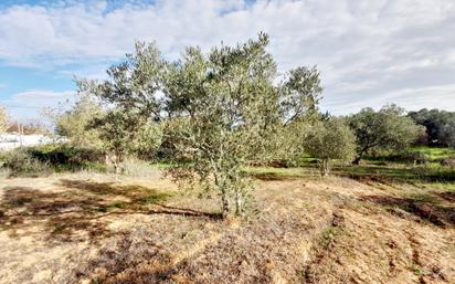 Land for sale in Jerez de la Frontera