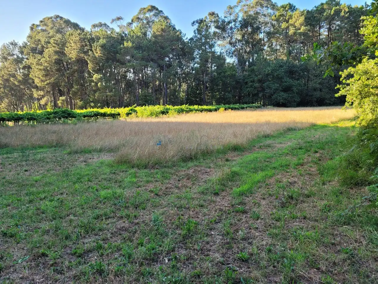 Terreno rustico in vendita a Tui, imagen 3