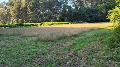 Foto 3 de Terreny en venda a Tui, Pontevedra