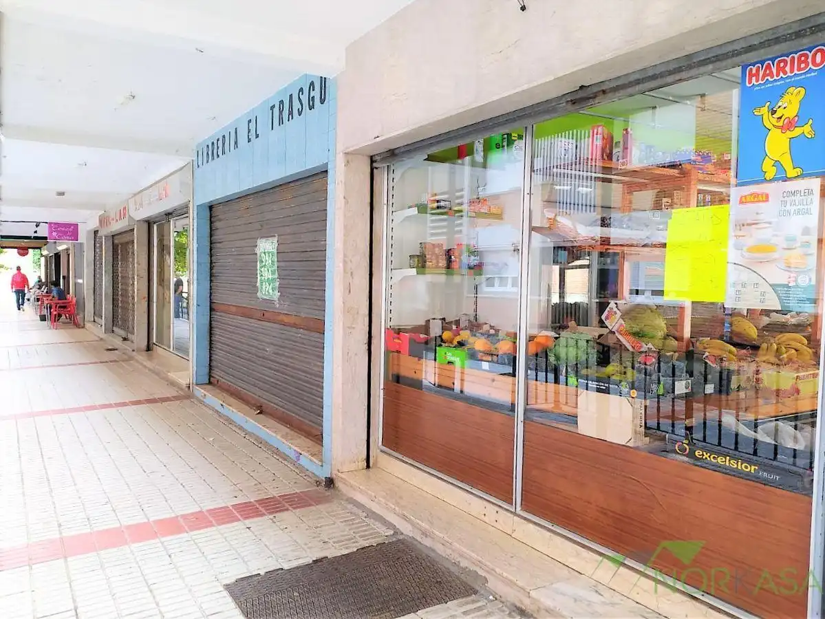 Local commercial à vendre à Poligono de Riano, imagen 4