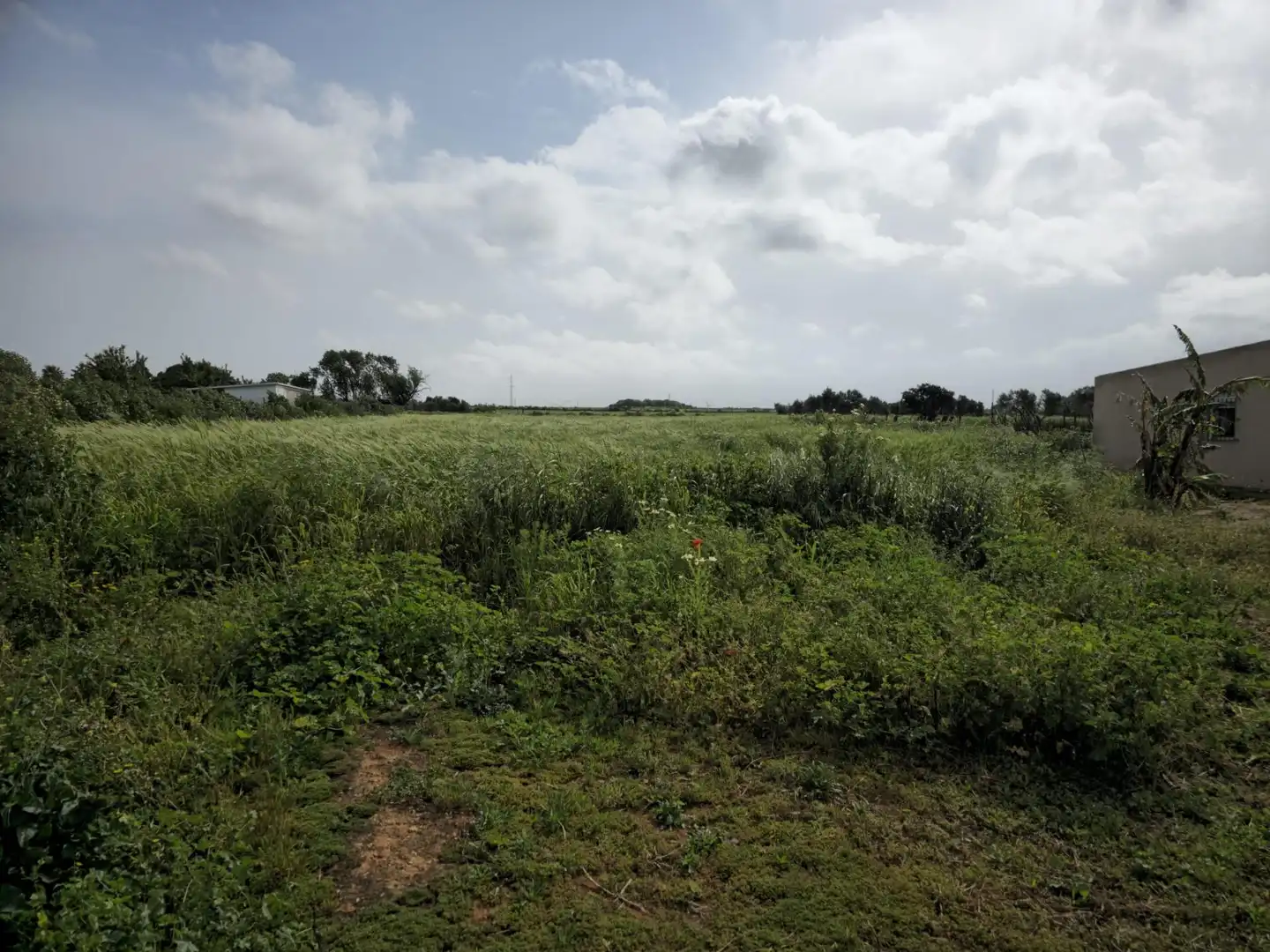 Finca rústica en venta en Puerto Real con Trastero
