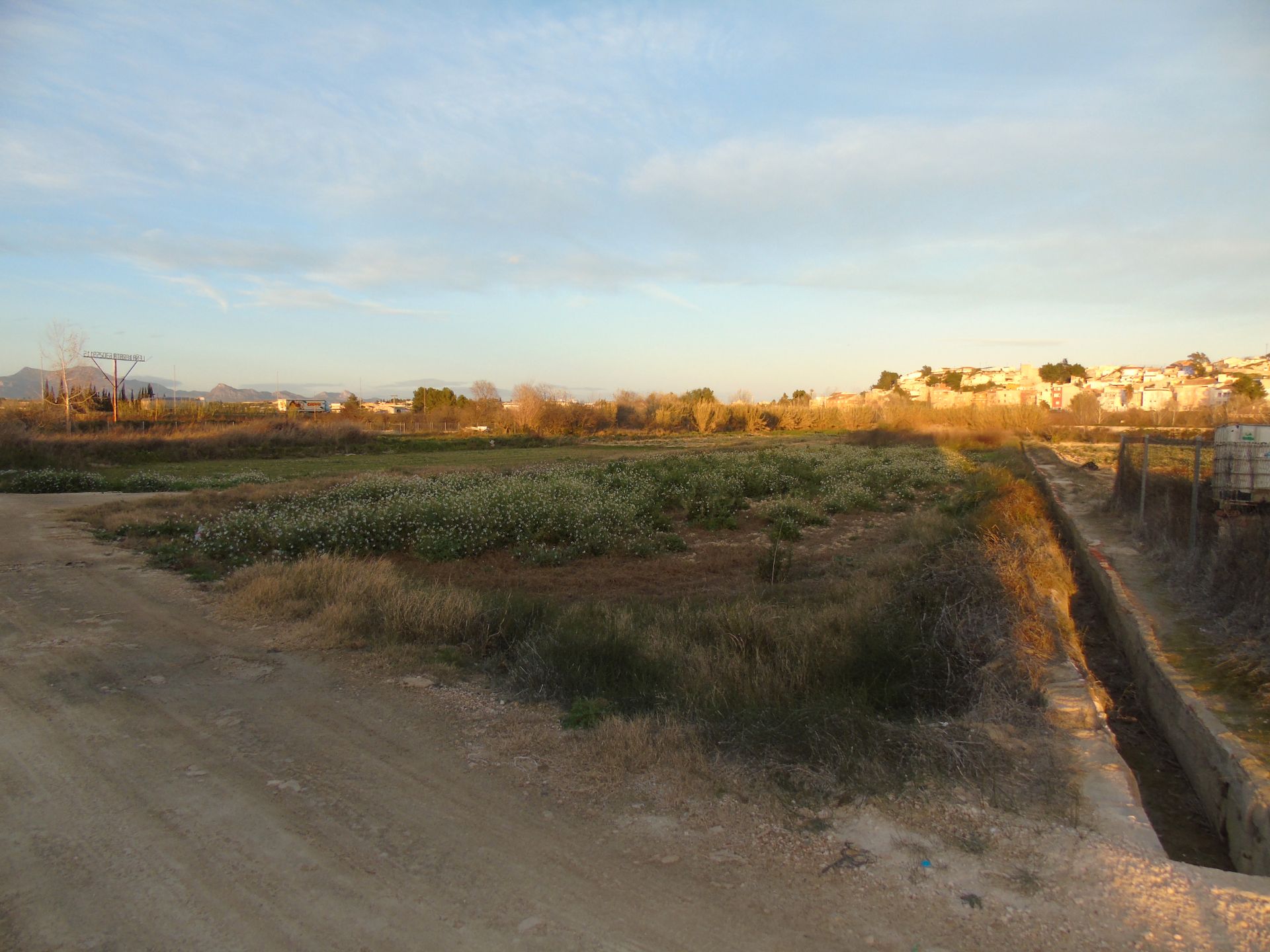 Land for sale in Ceutí