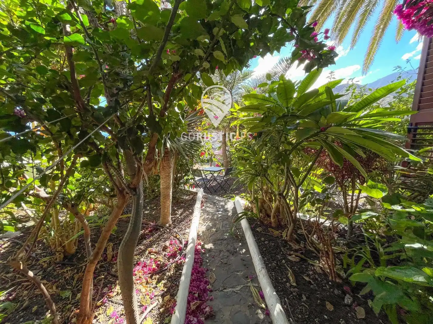 Vista exterior de Apartamento en venta en Hermigua