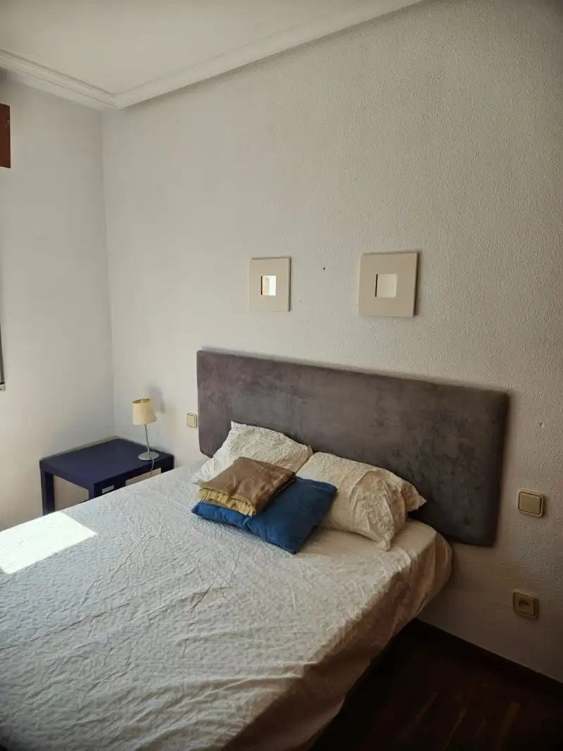 Flat with garden to rent in Casco Antiguo, imagen 6