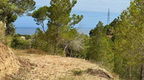 Dos parcelas urbanas exclusivas en Altea, imatge 3