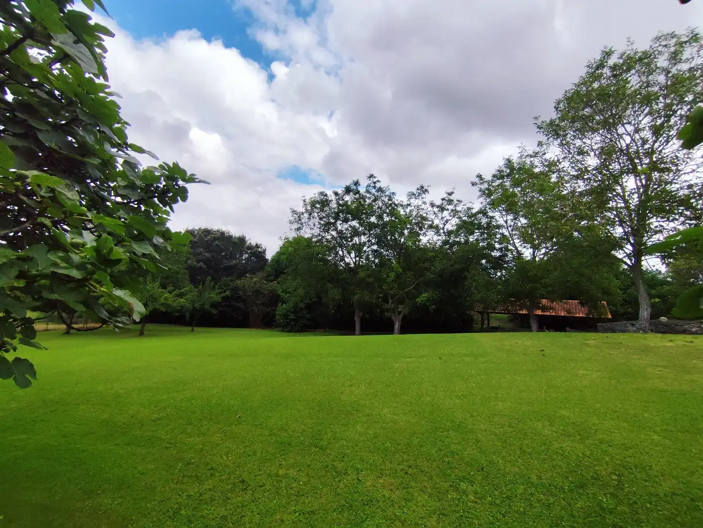 Casa o chalet en venta en Villaescusa (Cantabria) con Calefacción, Jardín privado y Terraza
