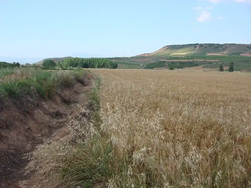 Rustikales Grundstück zum Verkauf in Villamediana de Iregua, imagen 3