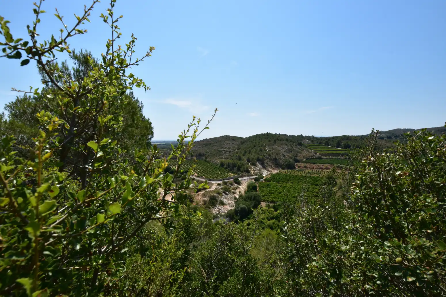 Terreno rústico en venta en Picassent - CL COVA FUMÀ, imagen 23