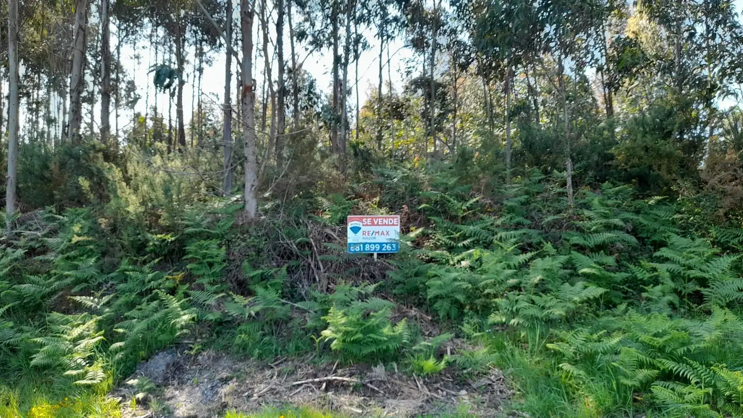 Rural land for sale in Lugar Val Arriba 3, imagen 11