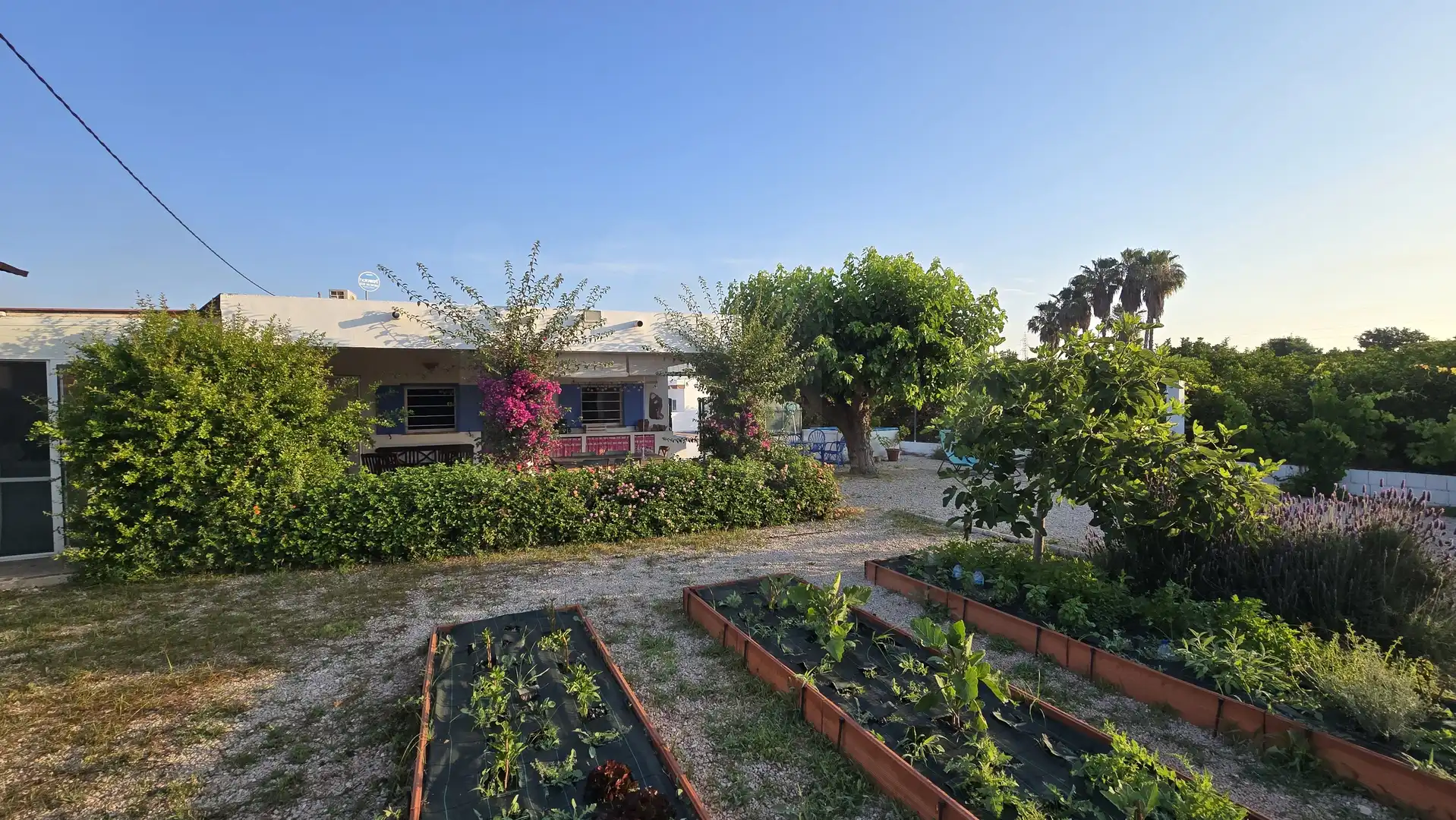 Maison à vendre à Oliva pueblo, imagen 17