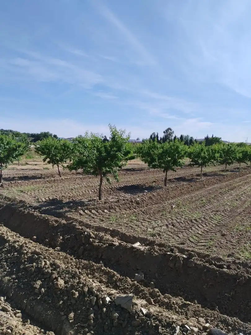 Terreni e lotti in vendita a Villa de Otura, imagen 21