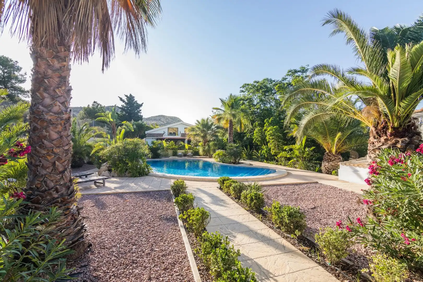 Piscina de Casa o xalet en venda en Aspe amb Aire condicionat, Calefacció i Jardí privat