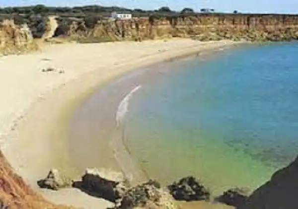 Exterior view of Houses for sale in Conil de la Frontera  with Air Conditioner, Private garden and Terrace