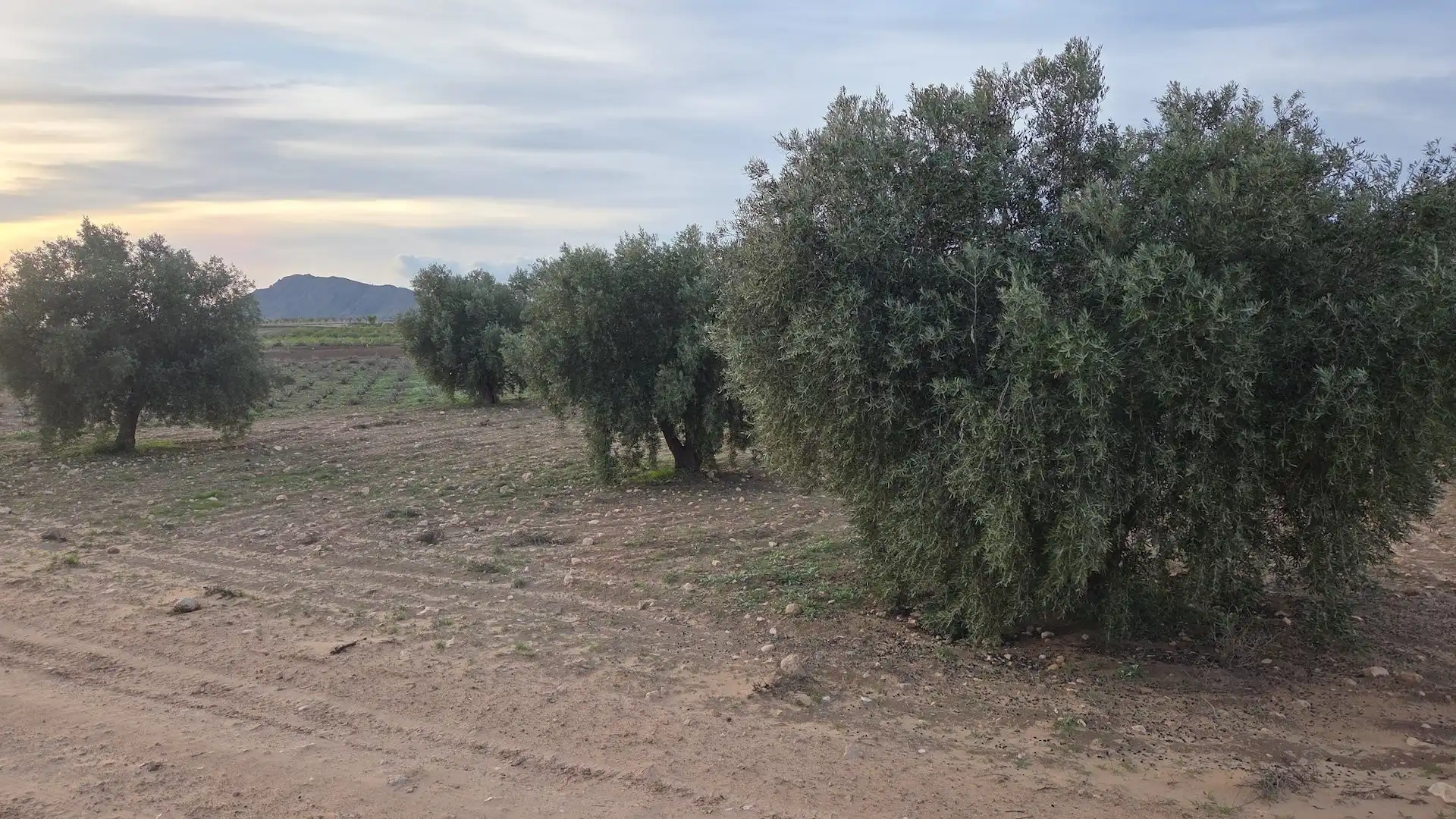 Terrenos y solares en venta en N/A, imagen 4