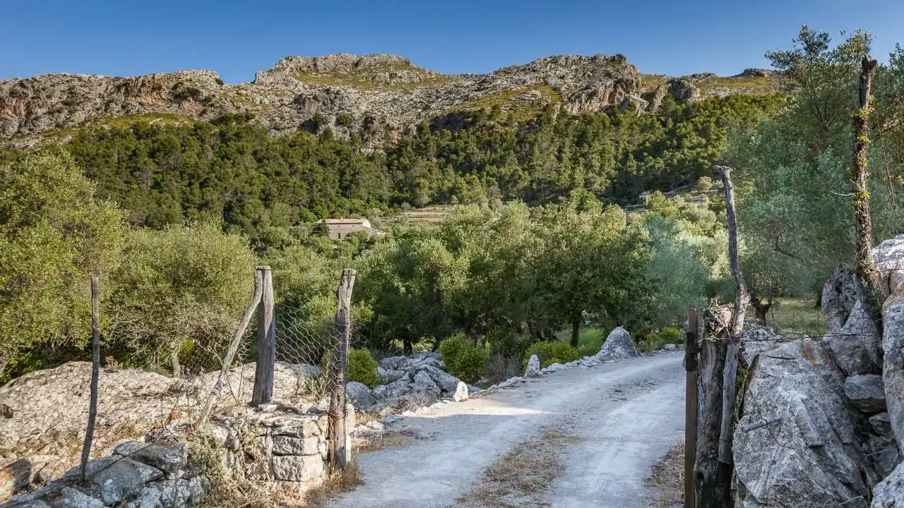 Vista exterior de Finca rústica en venta en Escorca con Jardín privado, Terraza y Trastero