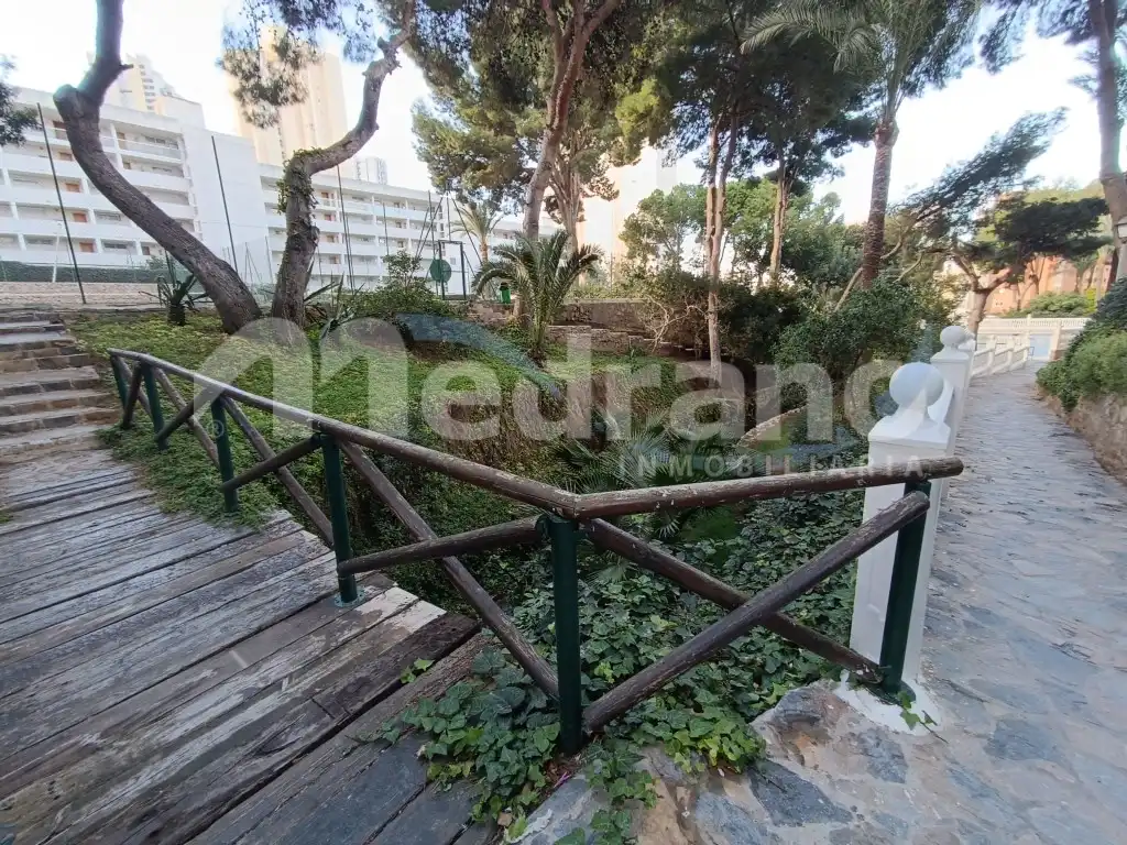 Jardín de Estudio en venta en Benidorm con Jardín privado, Piscina y Piscina comunitaria