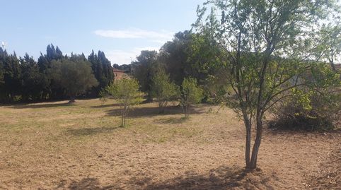 Foto 4 de Residencial en venta en Els Masos de Pals, Pals