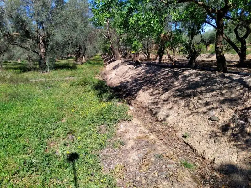 Terreno rustico in vendita a Calle poligono 2, parcela 207,208, Tomillar, Lecrín 0, imagen 4