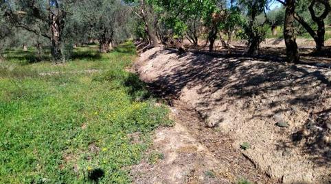 Foto 4 de Terreno en venta en Calle Poligono 2, Parcela 207,208, Tomillar, Lecrí, Lecrín, Granada