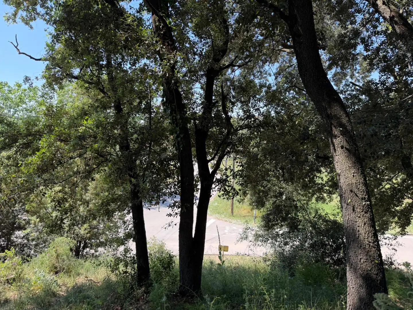 Lands and plots for sale in Carrer de Sant Bernat 7, imagen 12