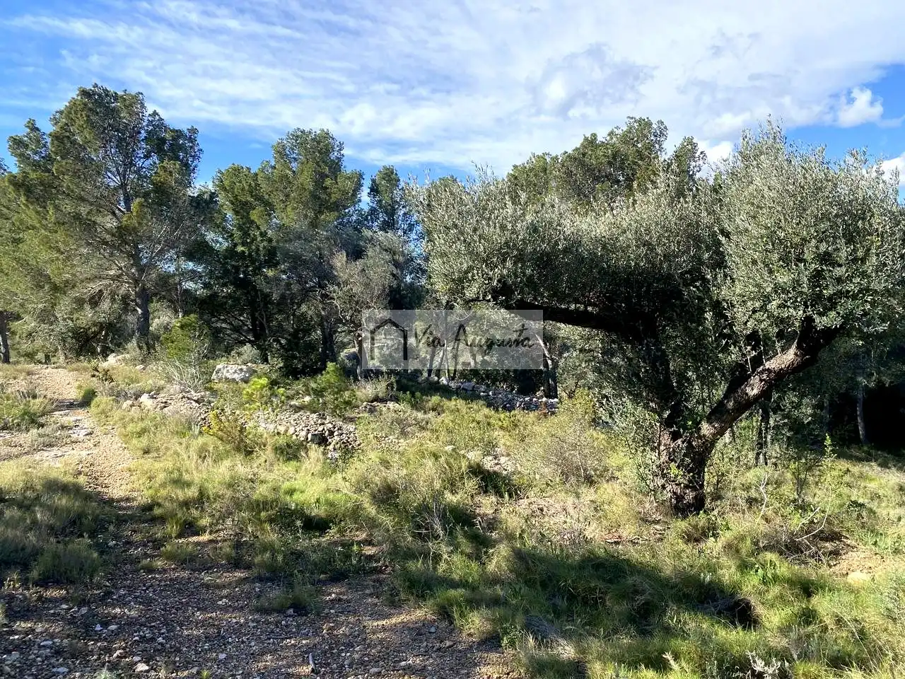 Terreny rústic en venda a Bítem, imagen 16