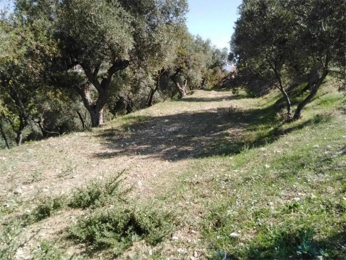 Finca rústica en venda en Lanjarón