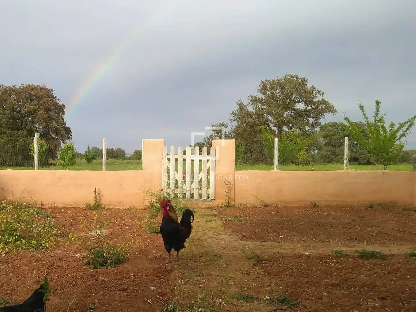 Finca rústica en venda en Malpica de Tajo amb Aire condicionat, Traster i Piscina