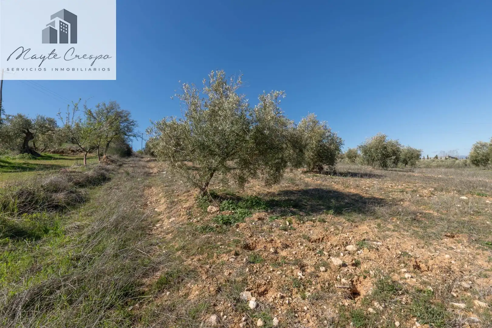 Terreni e lotti in vendita a Cogollos de la Vega, imagen 16