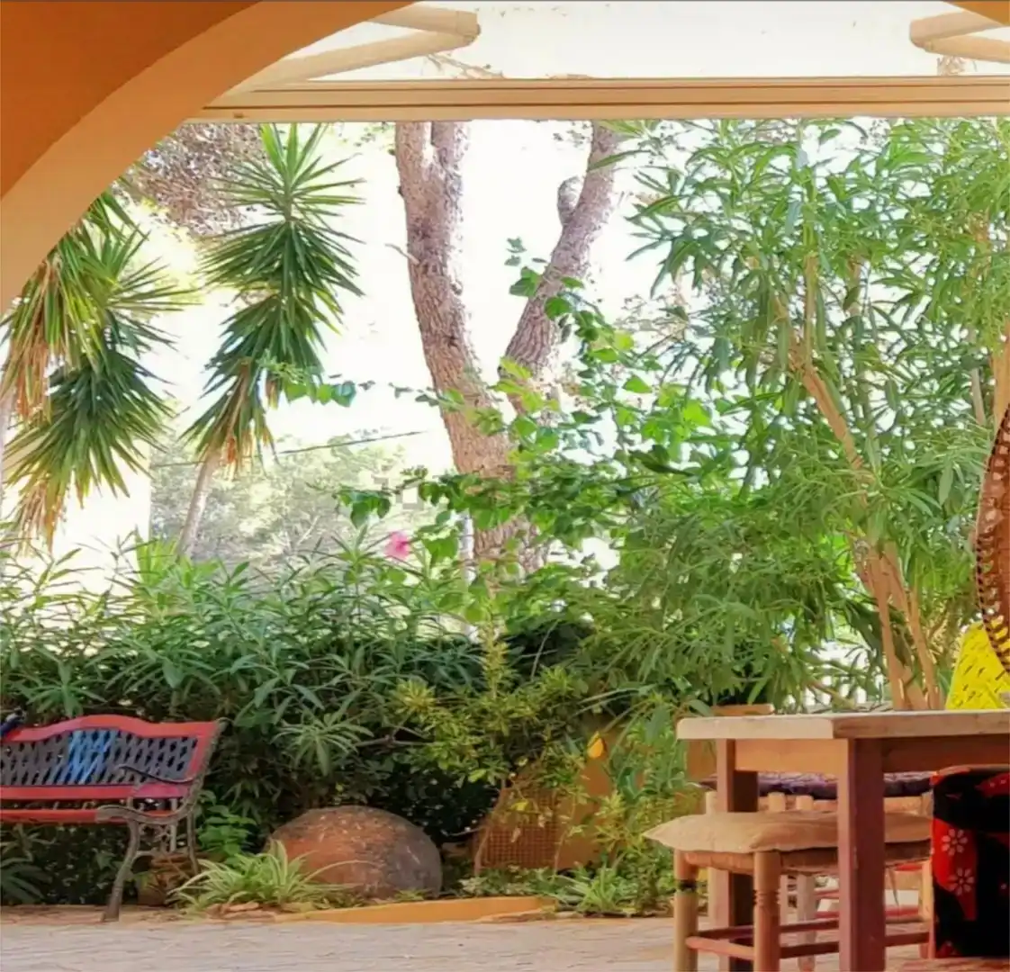 Jardí de Planta baixa de lloguer en Santa Eulària des Riu