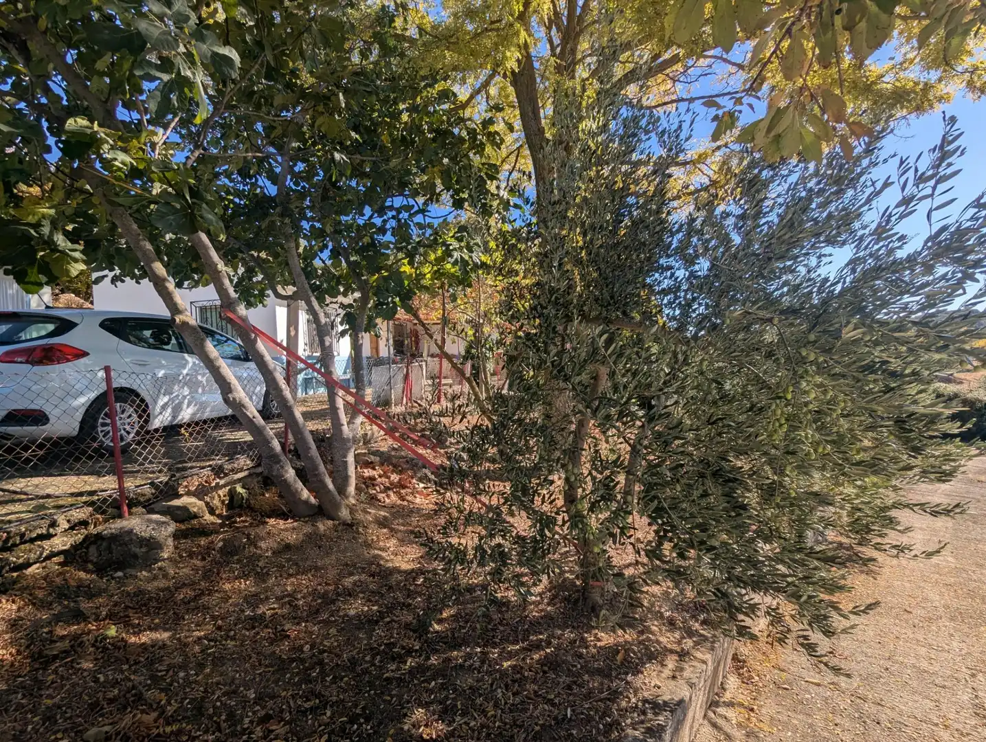 Terreno rustico in vendita a Estella / Lizarra, imagen 19