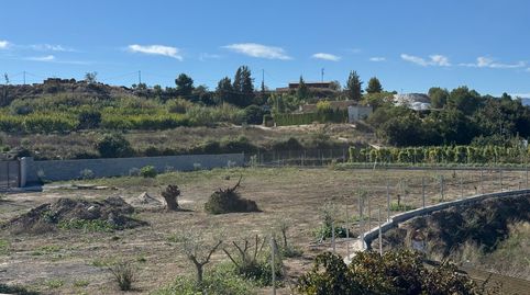 🌿🏡 PARCELA DE REGADÍO 8.000m2 POSIBILIDAD DE CONSTRUIR EN VENTA CON VISTAS ESPECTACULARES AL CASCO HISTÓRICO DE CEHEGÍN, immagine 5