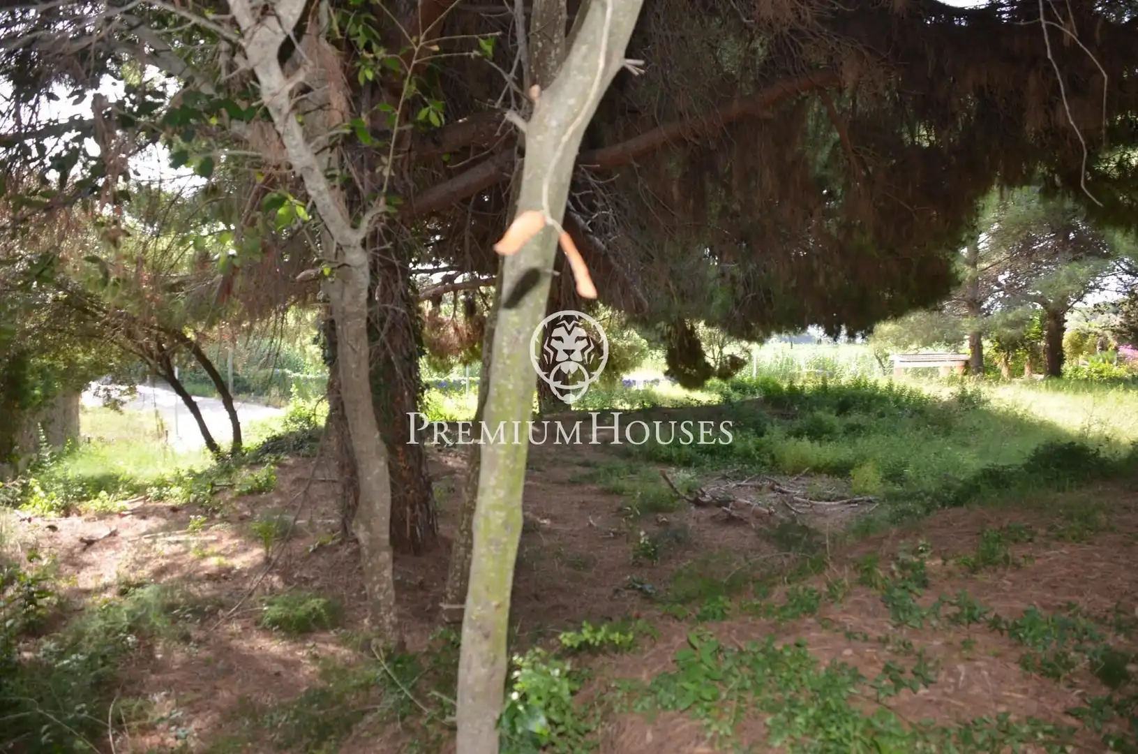 Residential land for sale in Cabrera de Mar, imagen 6