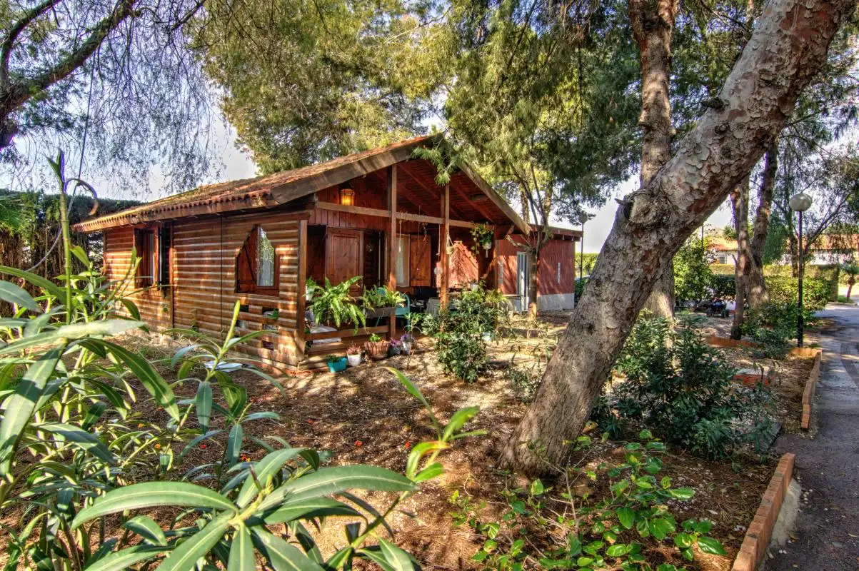 Jardín de Finca rústica en venta en Dolores con Aire acondicionado, Calefacción y Jardín privado