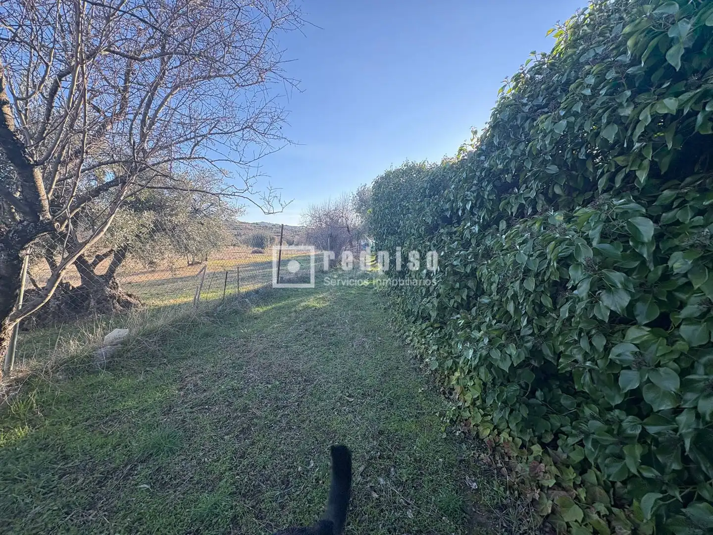 Casa amb jardí en venda a Diseminados, imagen 40