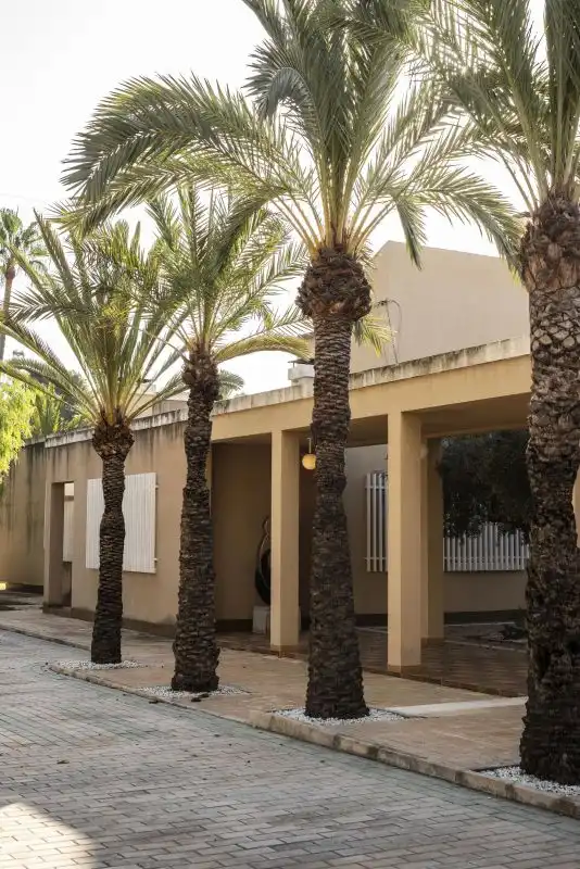 Exterior view of Houses for sale in Elche / Elx  with Air Conditioner, Heating and Terrace