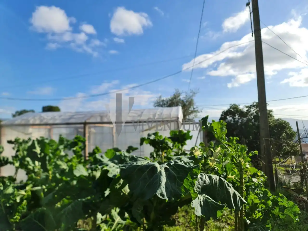 Terreno residenziale in vendita a A Cañiza, imagen 7