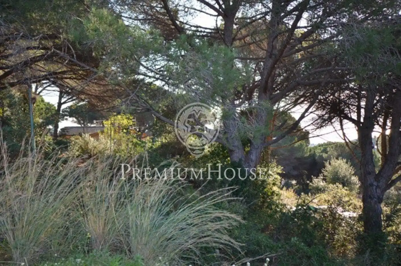 Residential land for sale in Rocaferrera, imagen 15