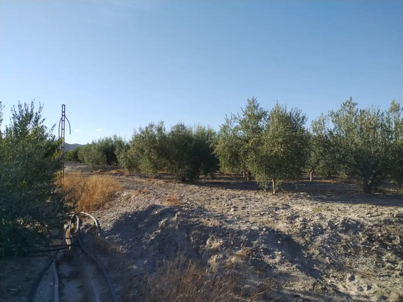 Terreny rústic en venda a Puerto Lumbreras, imagen 9