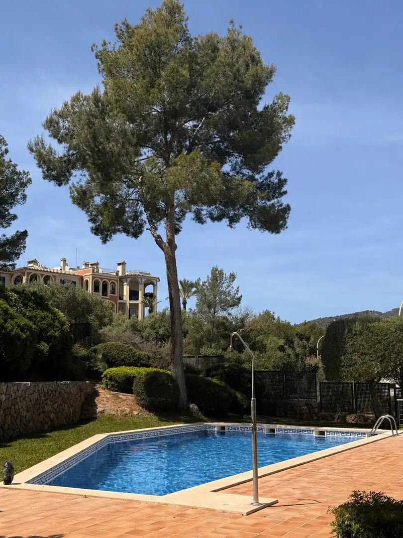 Ático con piscina en venta en Portals Nous, imagen 25