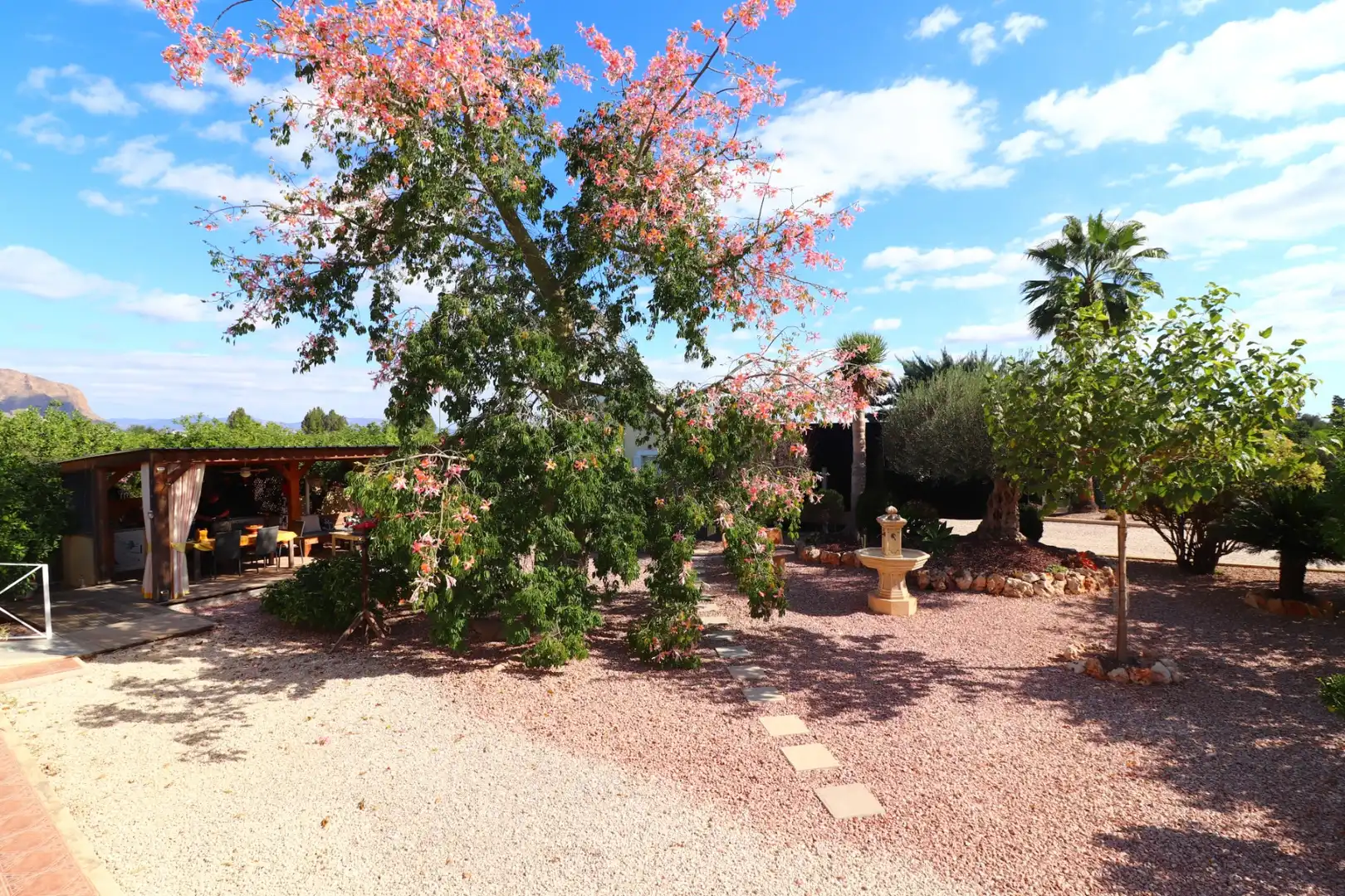Jardí de Finca rústica en venda en Orihuela amb Terrassa i Piscina