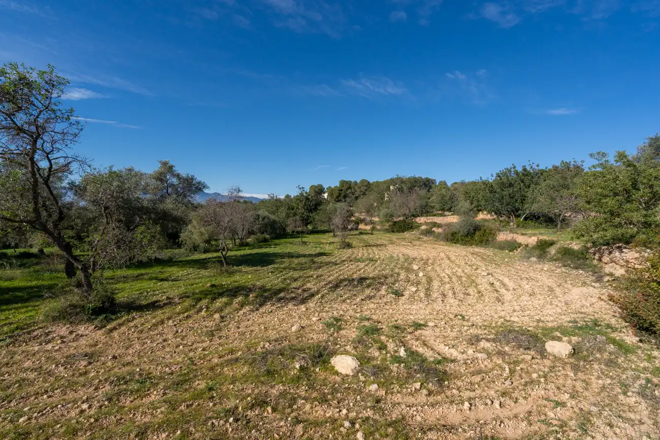 Casa o xalet en venda en Tortosa amb Calefacció, Jardí privat i Terrassa